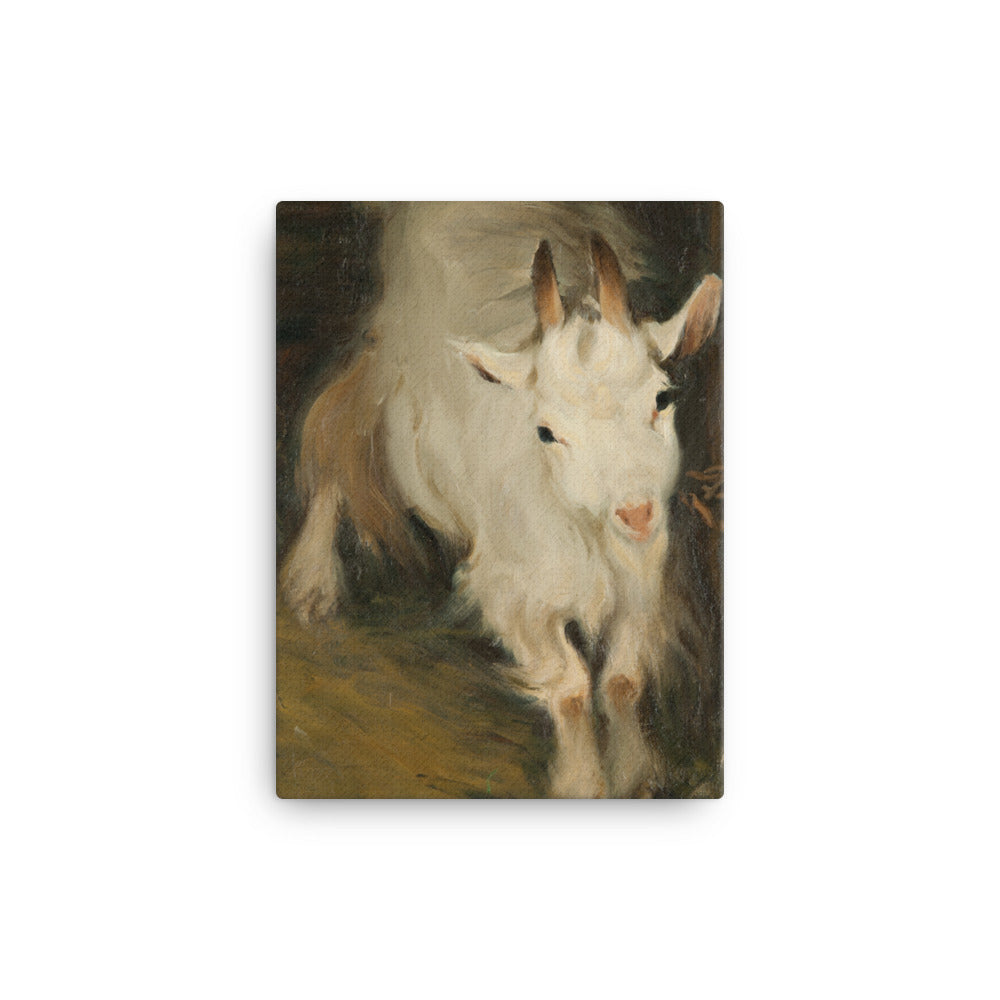 Ernst Küsel - Billy Goat - Premium Canvas