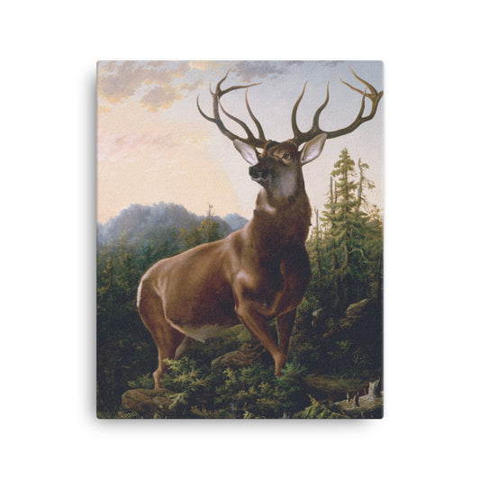 Alexander Brodszky - Deer in Forest Landscape - Premium Canvas