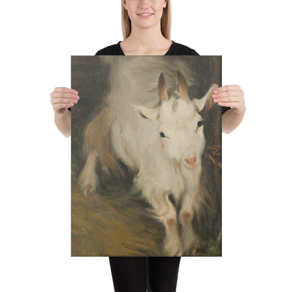 Ernst Küsel - Billy Goat - Premium Canvas