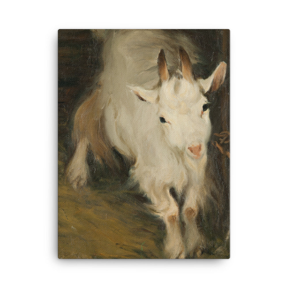 Ernst Küsel - Billy Goat - Premium Canvas