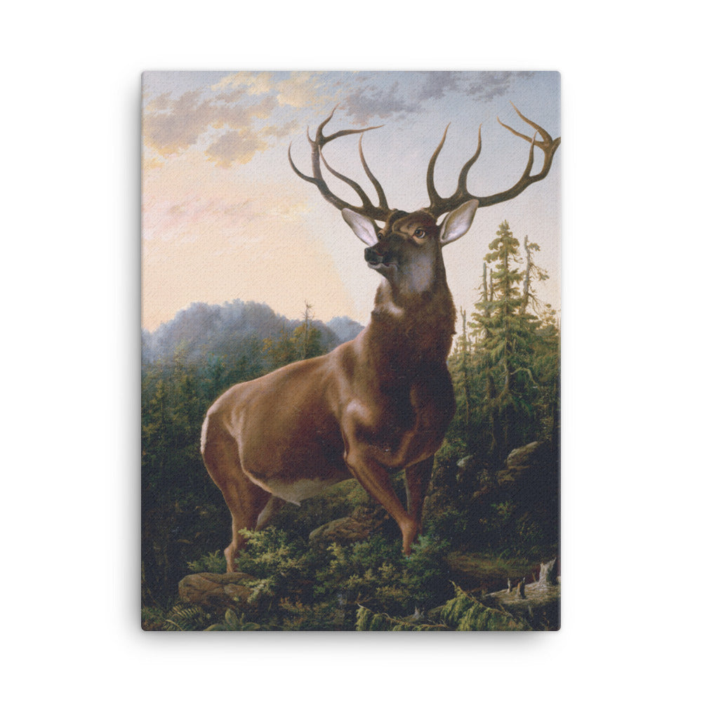 Alexander Brodszky - Deer in Forest Landscape - Premium Canvas