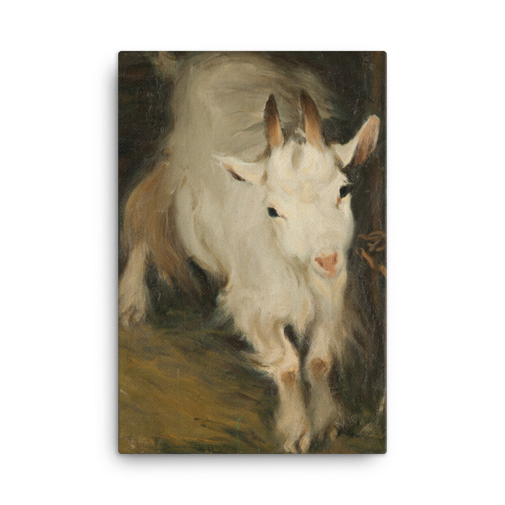 Ernst Küsel - Billy Goat - Premium Canvas